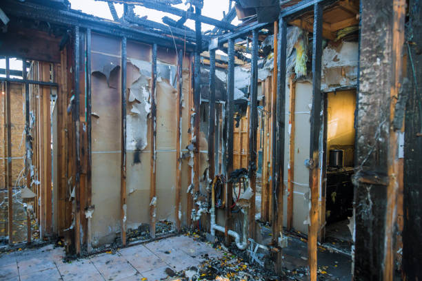 Professional Odor Removal technician working in Victor, ID